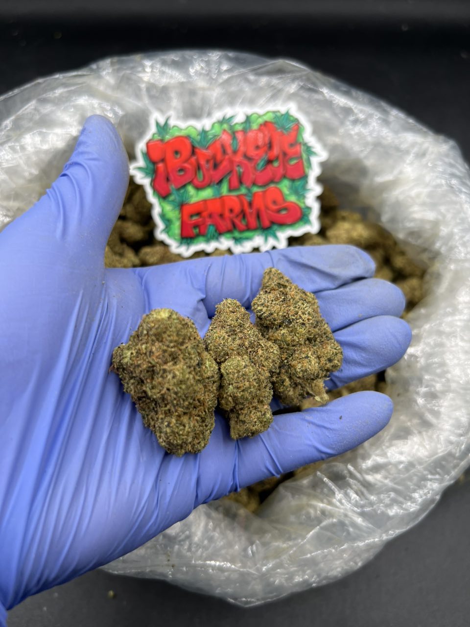 Lemon Cherry Gelato