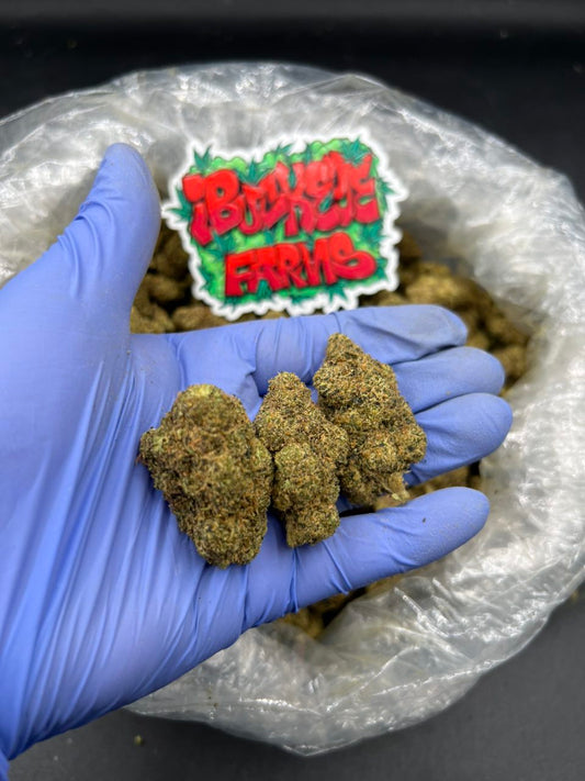 Lemon Cherry Gelato